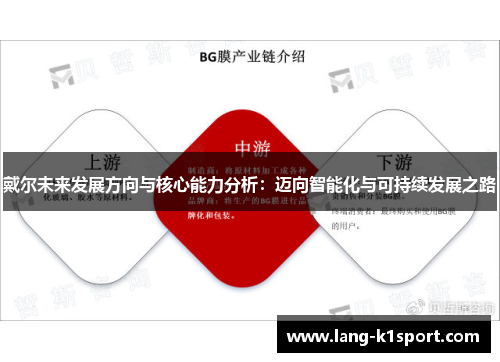 戴尔未来发展方向与核心能力分析：迈向智能化与可持续发展之路