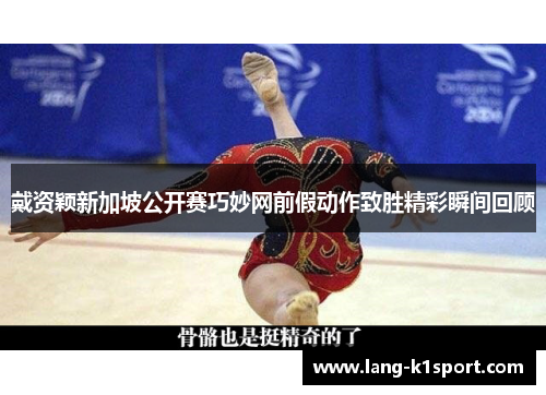 戴资颖新加坡公开赛巧妙网前假动作致胜精彩瞬间回顾