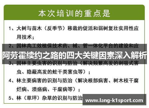 /uploads/images/20260512/a-lao-huo-xu-yue-zhi-lu-de-si-da-guan-jian-yin-su-shen-ru-jie-xi.webp